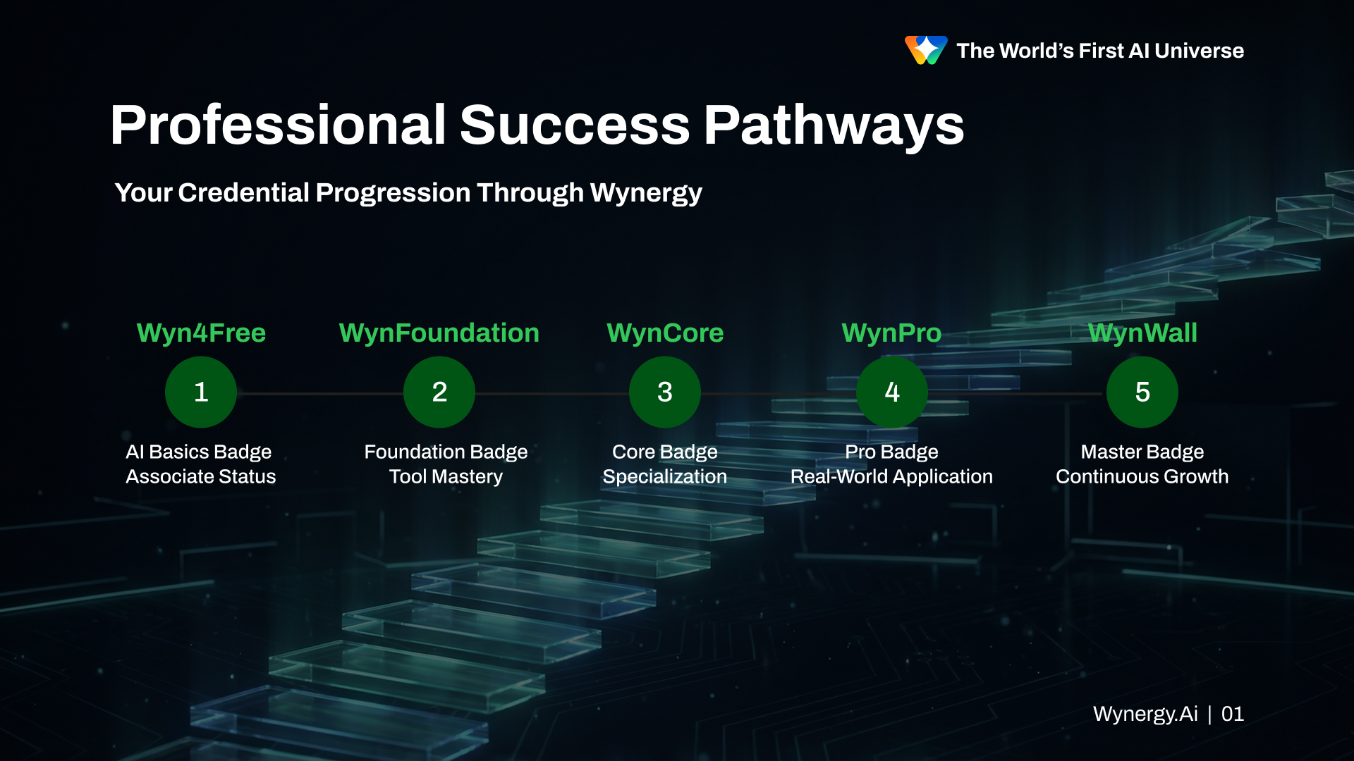 Professional Success Pathways